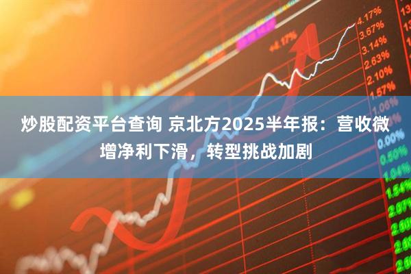 炒股配资平台查询 京北方2025半年报：营收微增净利下滑，转型挑战加剧
